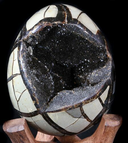 Septarian Dragon Egg Geode - Shiny Black Crystals #34717
